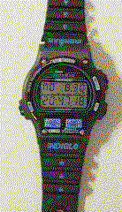 view of TIMEX IRONMAN midsize.